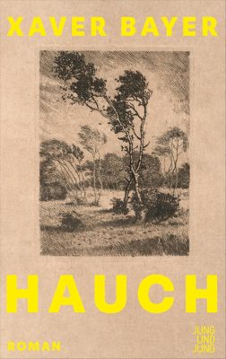Hauch