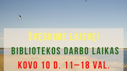 Darbo laikas švenčių dienomis