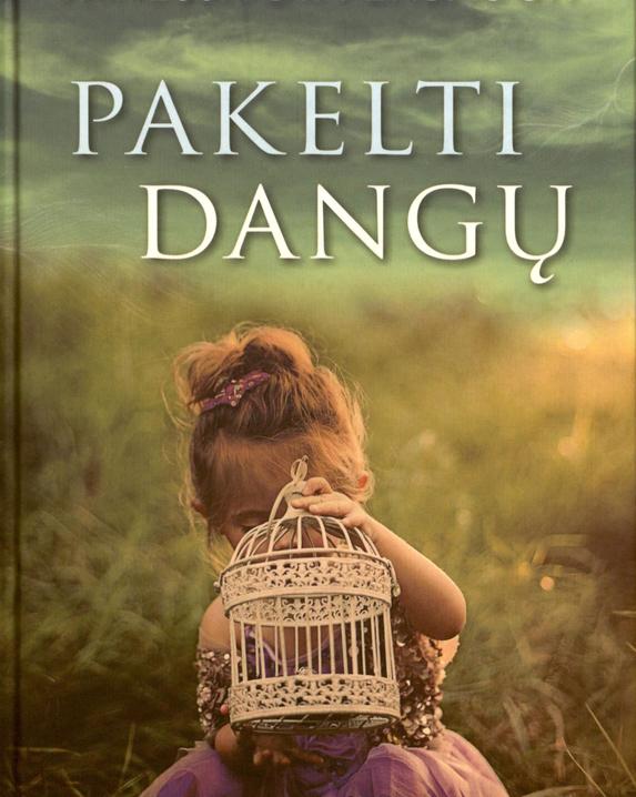 Pakelti dangų