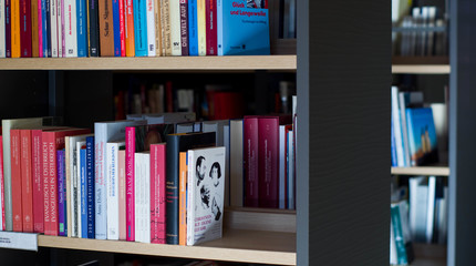 Bibliotekininkai rekomenduoja: 5 populiarios elektroninės knygos