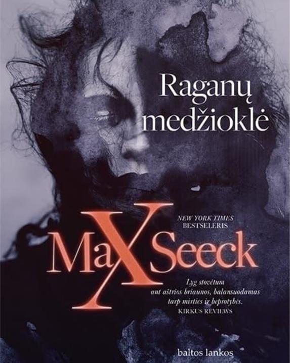 Raganų medžioklė