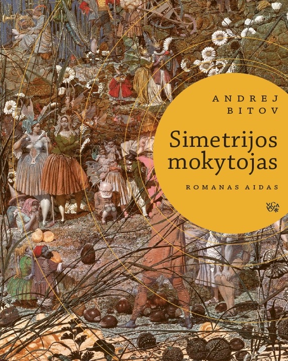 Simetrijos mokytojas: romanas aidas 