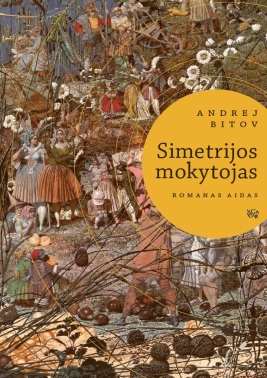 Simetrijos mokytojas: romanas aidas 