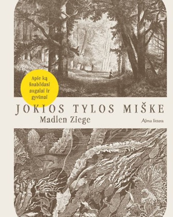 Jokios tylos miške