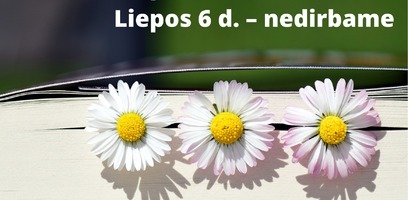 Darbo laikas švenčių metu