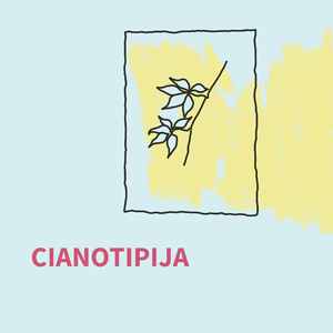 Cianotipija