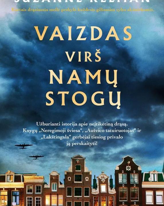 Vaizdas virš namų stogų