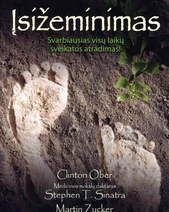 Įsižeminimas