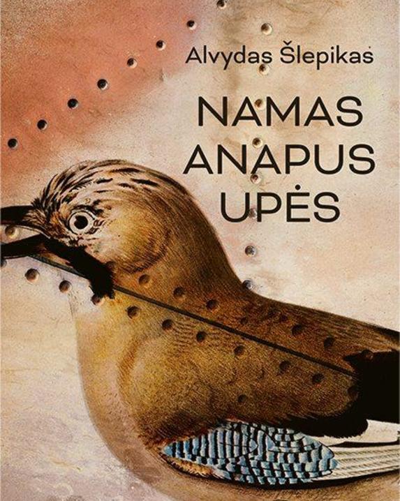 Namas anapus upės