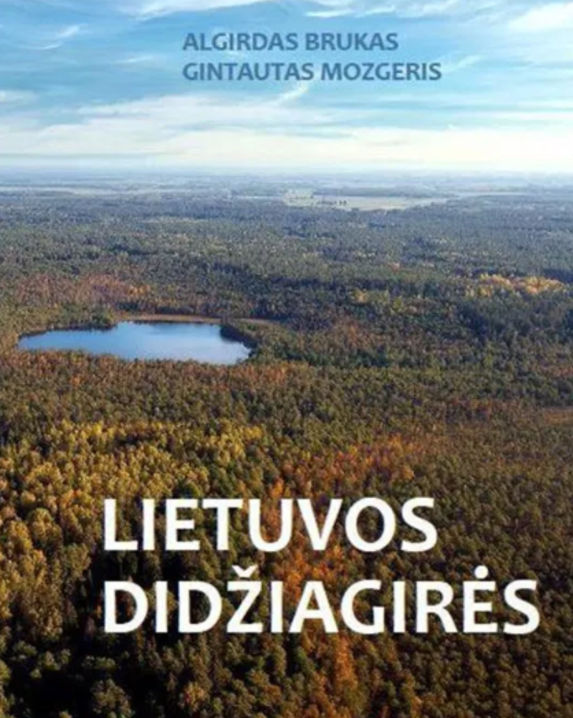 Lietuvos didžiagirės