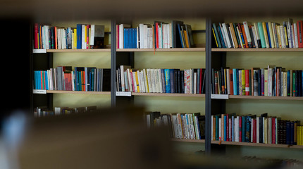 Ieškomiausios knygos bibliotekoje kovo mėnesį