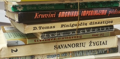 Seminaras Vilniaus apskrities Adomo Mickevičiaus viešosios bibliotekos darbuotojams „Bibliotekos...