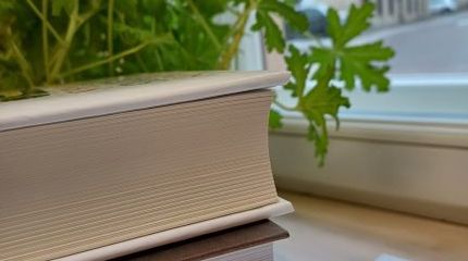 Bibliotekos informacijos išteklių sudarymo pagrindai: pradžiamokslis