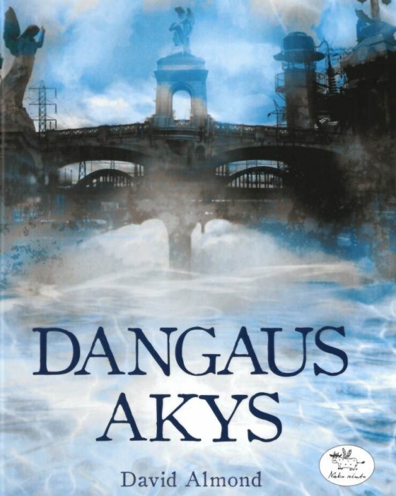 Dangaus akys