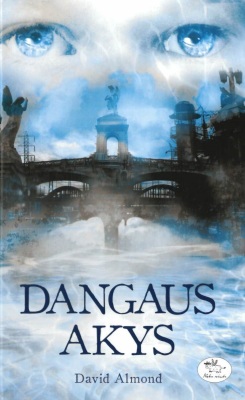 Dangaus akys