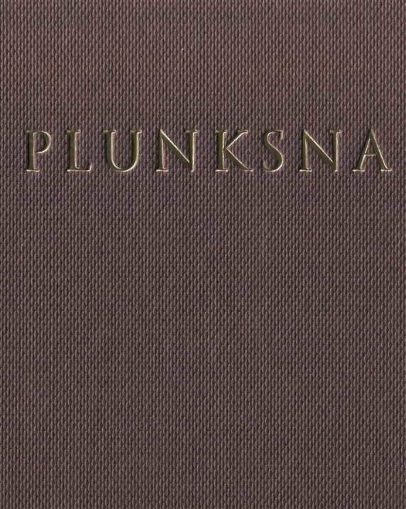 Plunksna