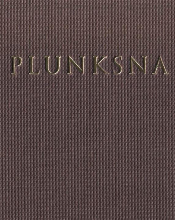 Plunksna