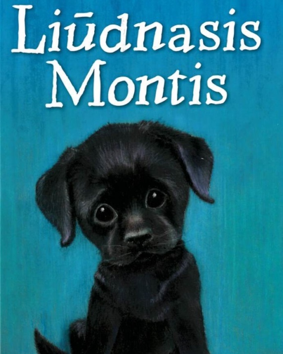 Liūdnasis Montis