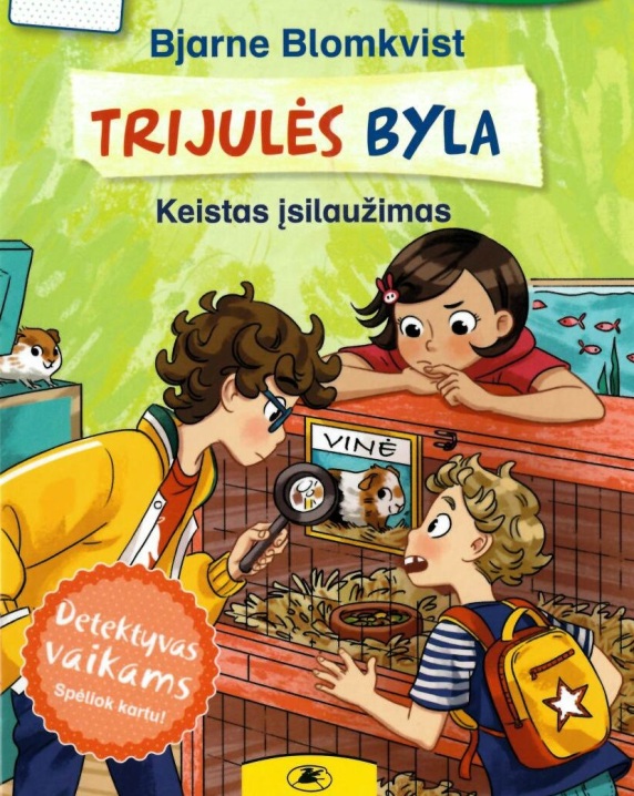 Trijulės byla. Keistas įsilaužimas