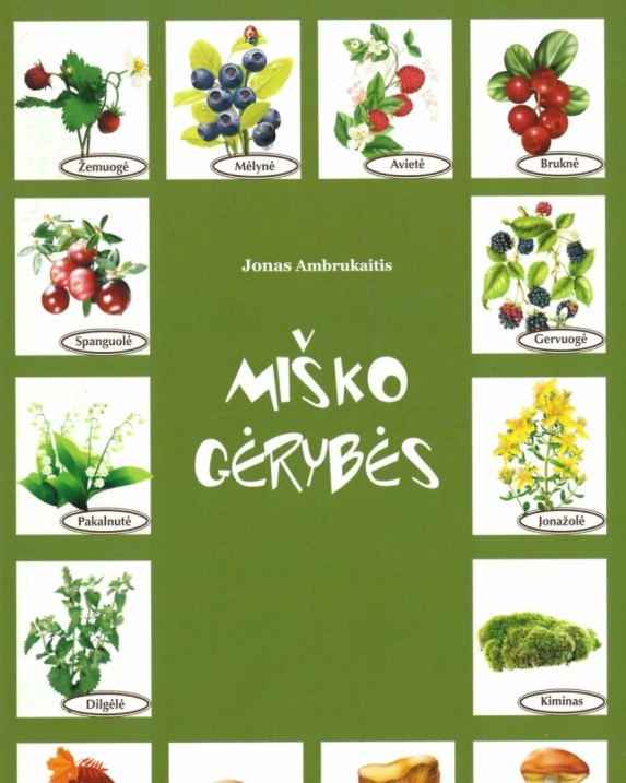 Miško gėrybės