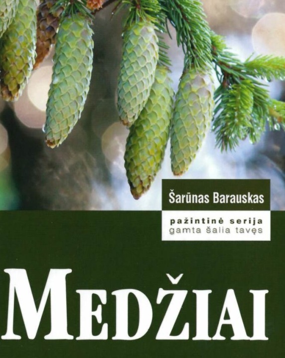 Medžiai