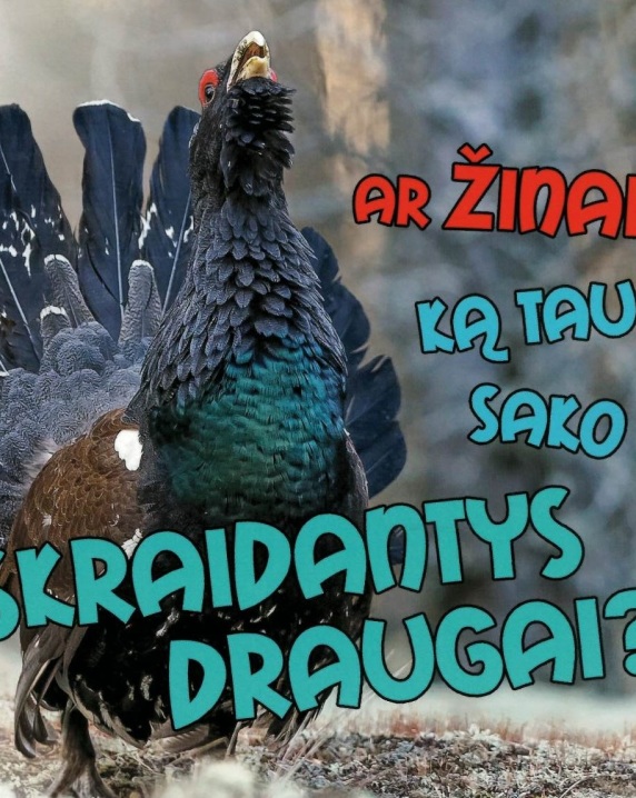 Ar žinai, ką tau sako skraidantys draugai?