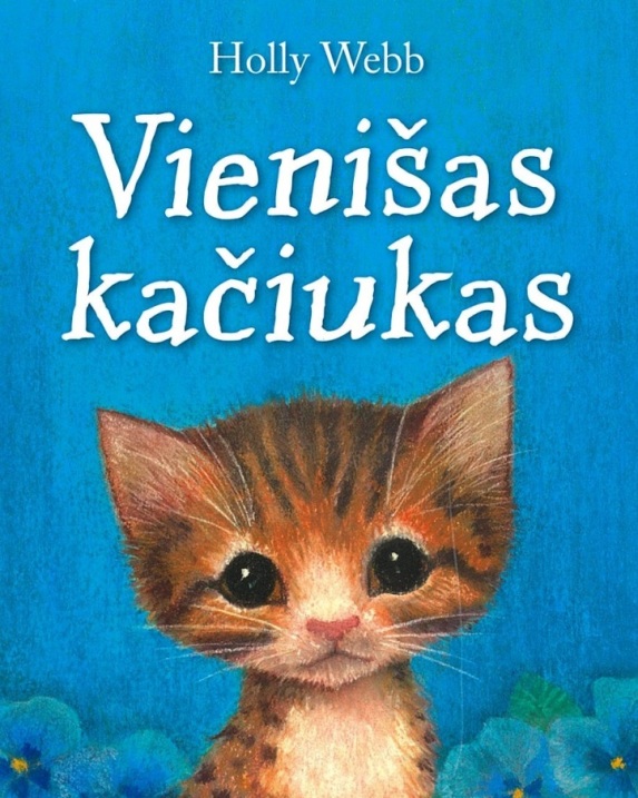 Vienišas kačiukas