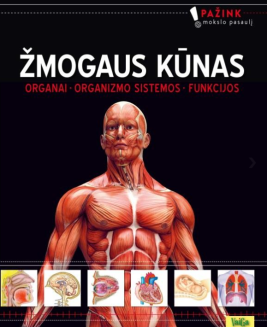 Žmogaus kūnas. Organai. Organizmo sistemos. Funkcijos