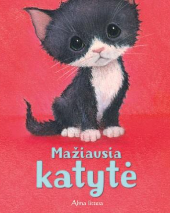 Mažiausia katytė