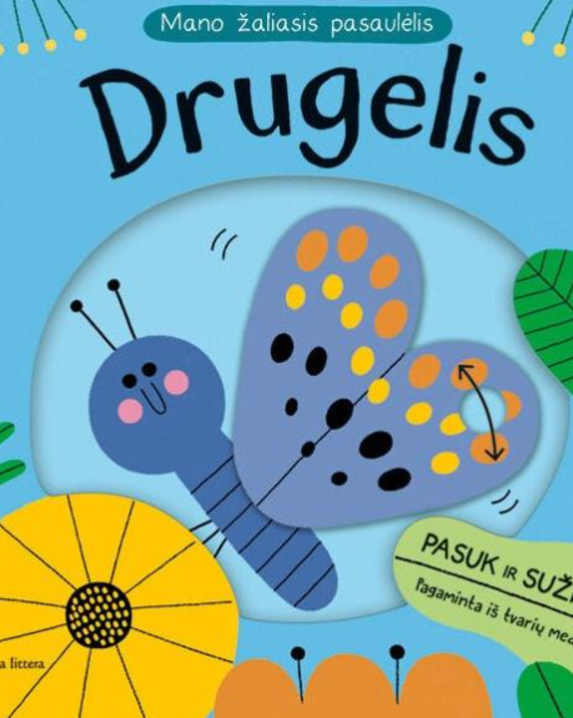 Drugelis
