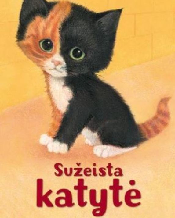Sužeista katytė